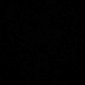 Meet your Posher, Ariel